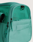 Pet Travel Carrier
