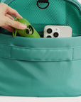 Pet Travel Carrier
