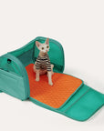 Pet Travel Carrier