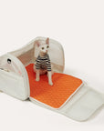 Pet Travel Carrier