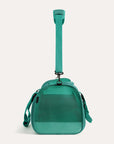 Pet Travel Carrier