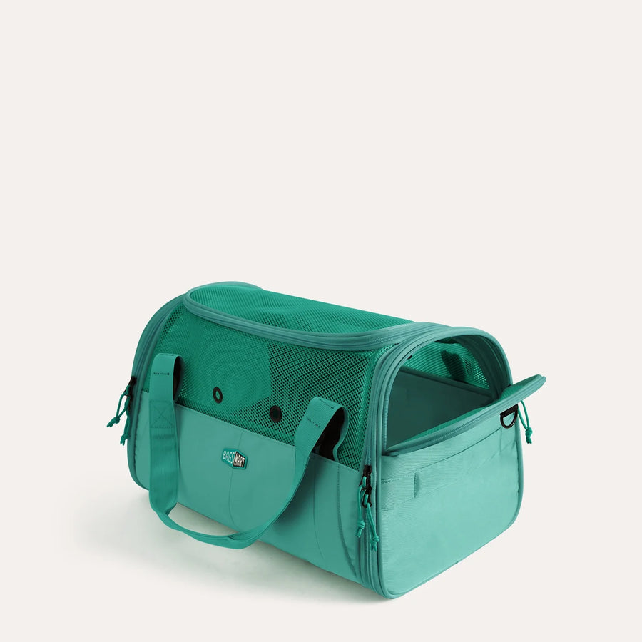 Pet Travel Carrier