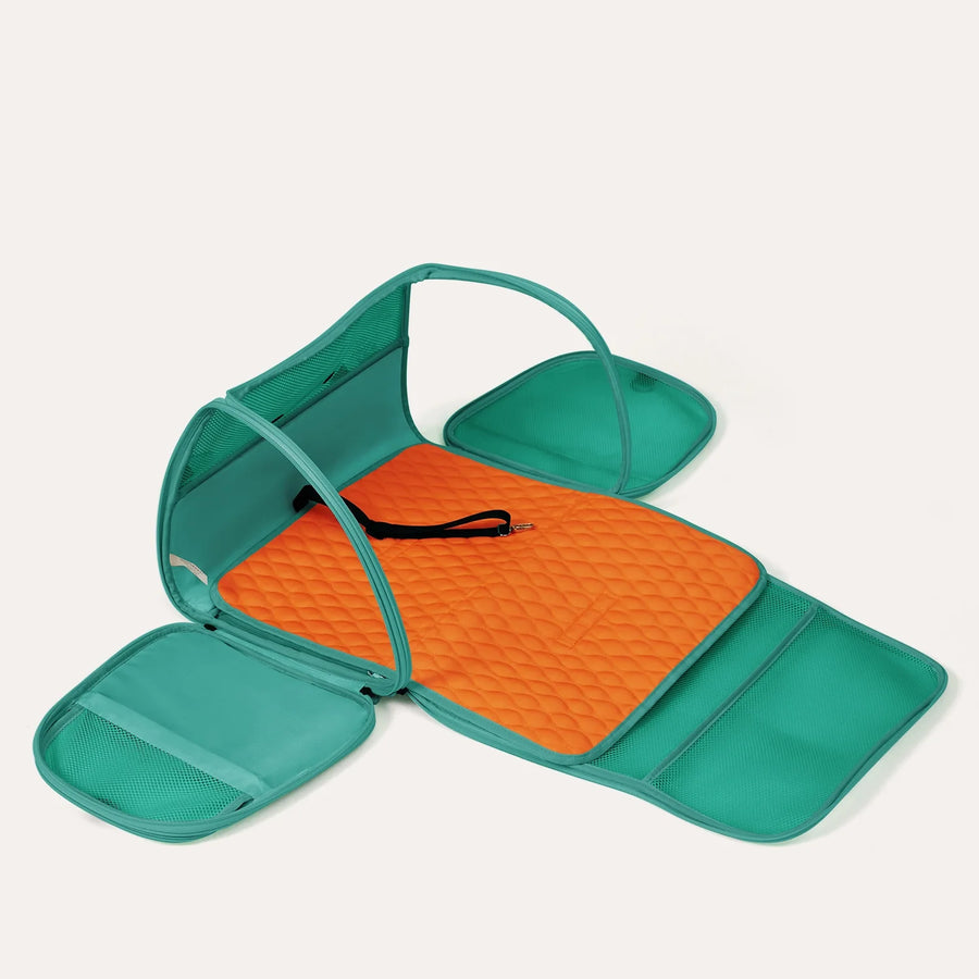 Pet Travel Carrier