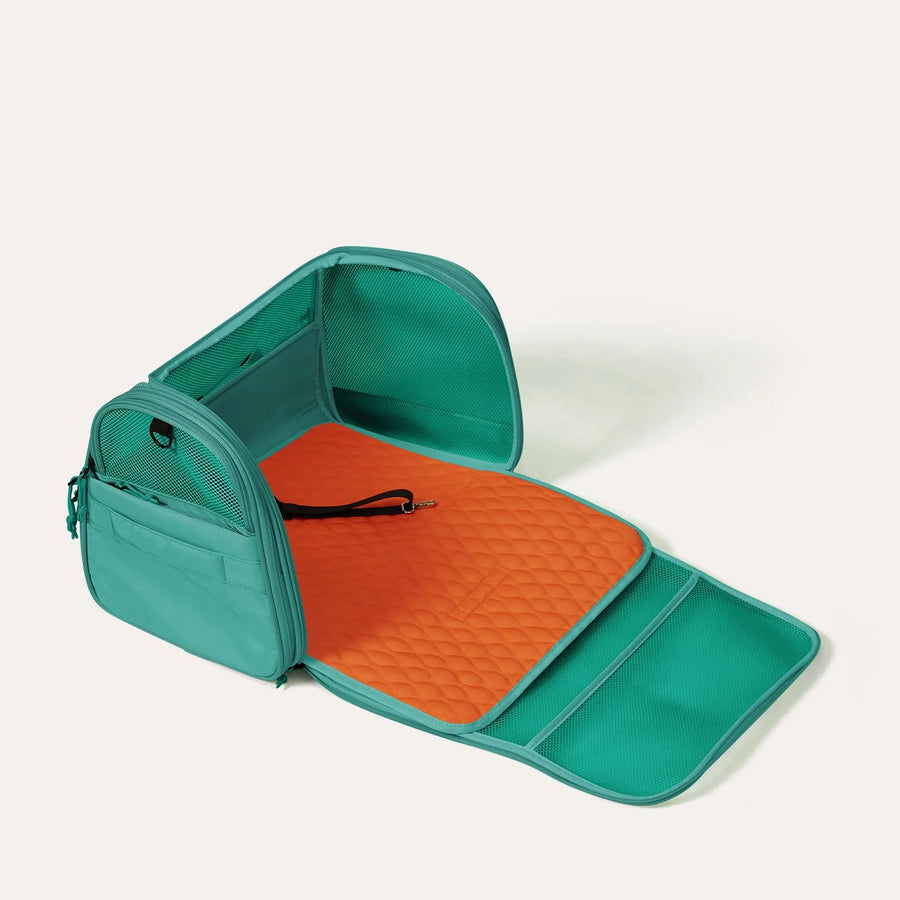 Pet Travel Carrier
