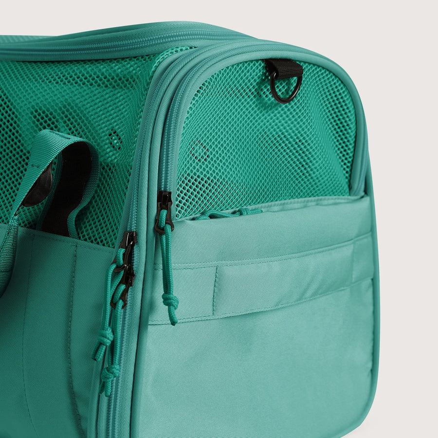 Pet Travel Carrier