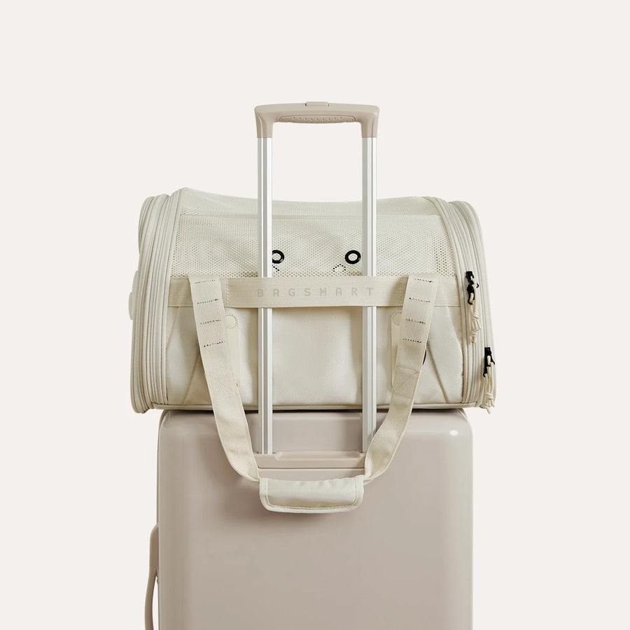 Pet Travel Carrier