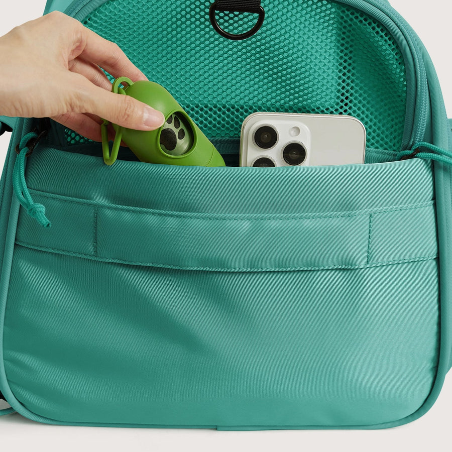 Pet Travel Carrier