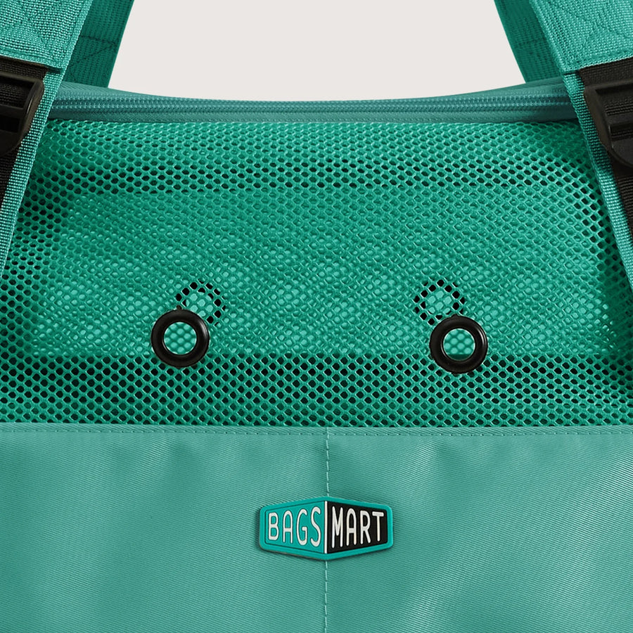 Pet Travel Carrier