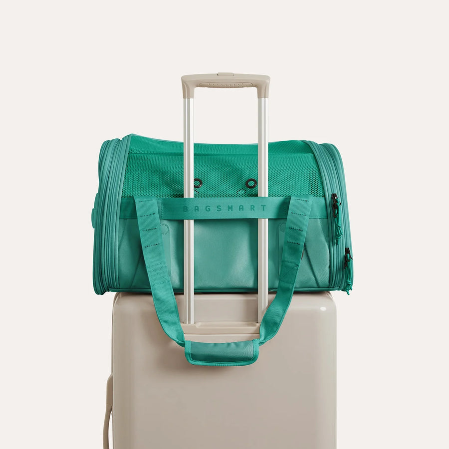 Pet Travel Carrier