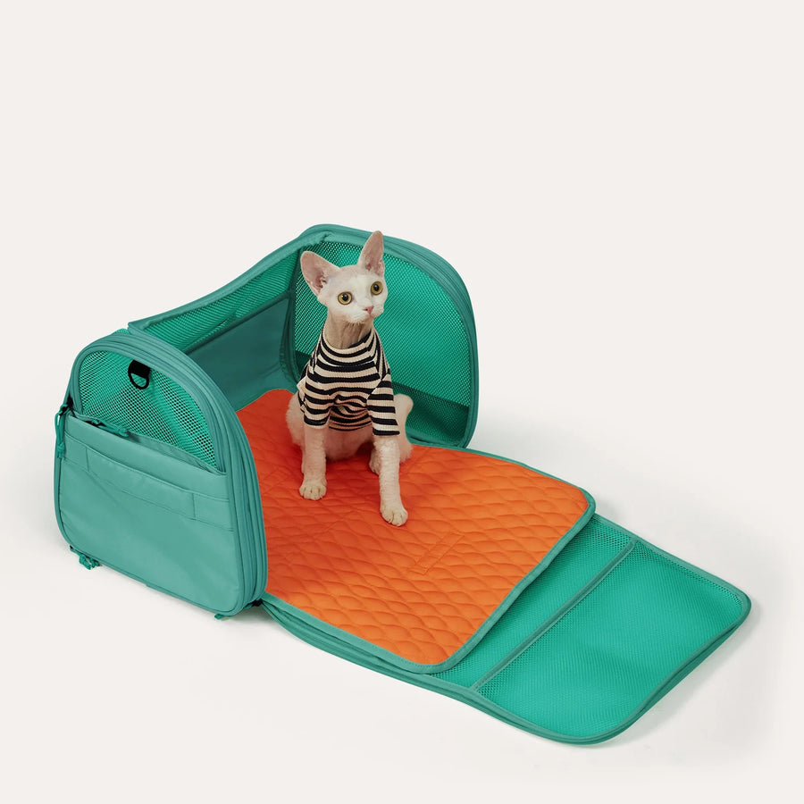 Pet Travel Carrier
