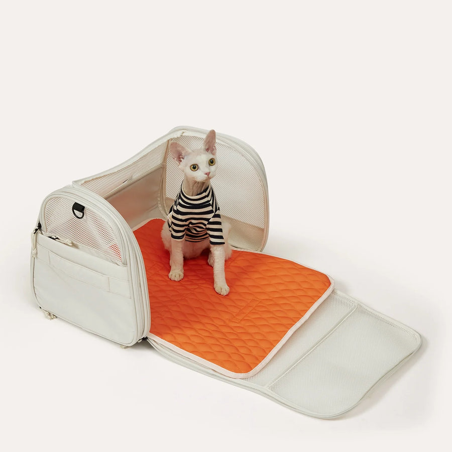 Pet Travel Carrier