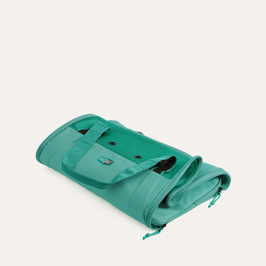 Pet Travel Carrier