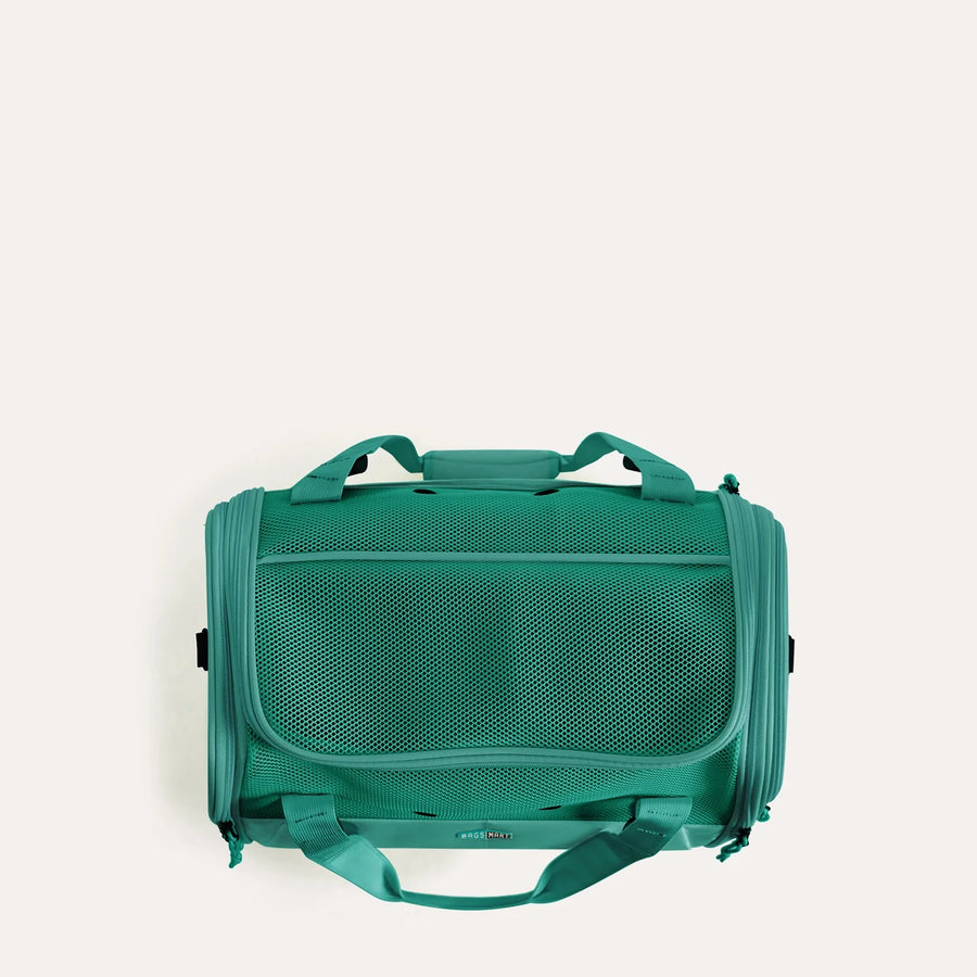 Pet Travel Carrier
