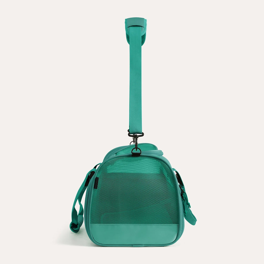 Pet Travel Carrier