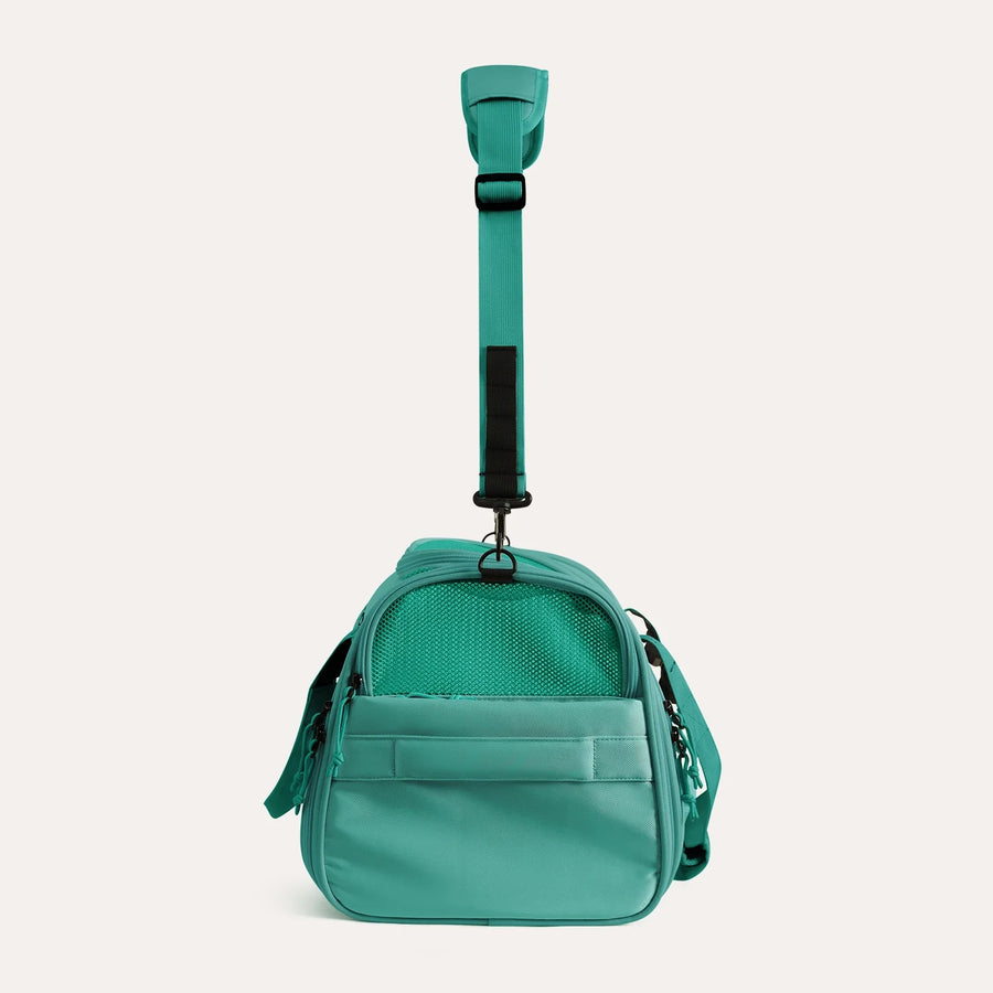 Pet Travel Carrier