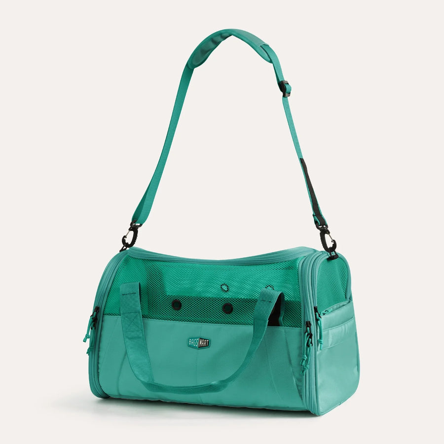 Pet Travel Carrier