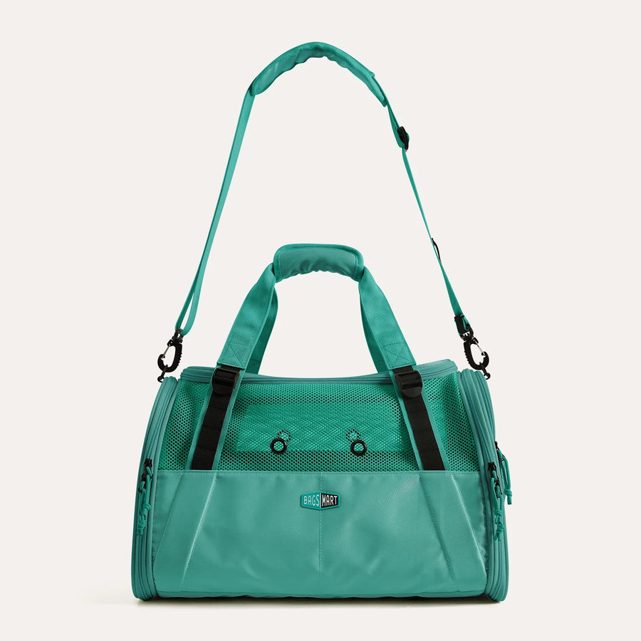 Pet Travel Carrier