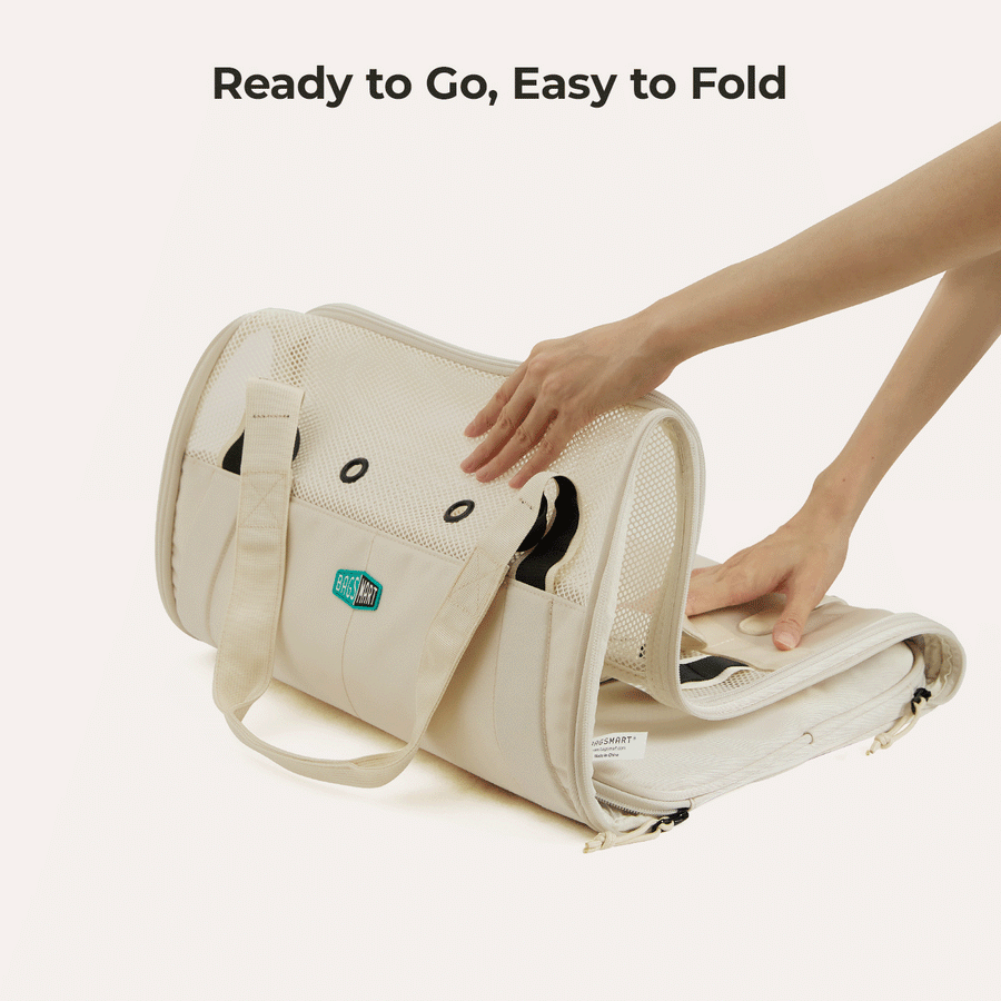 Pet Travel Carrier
