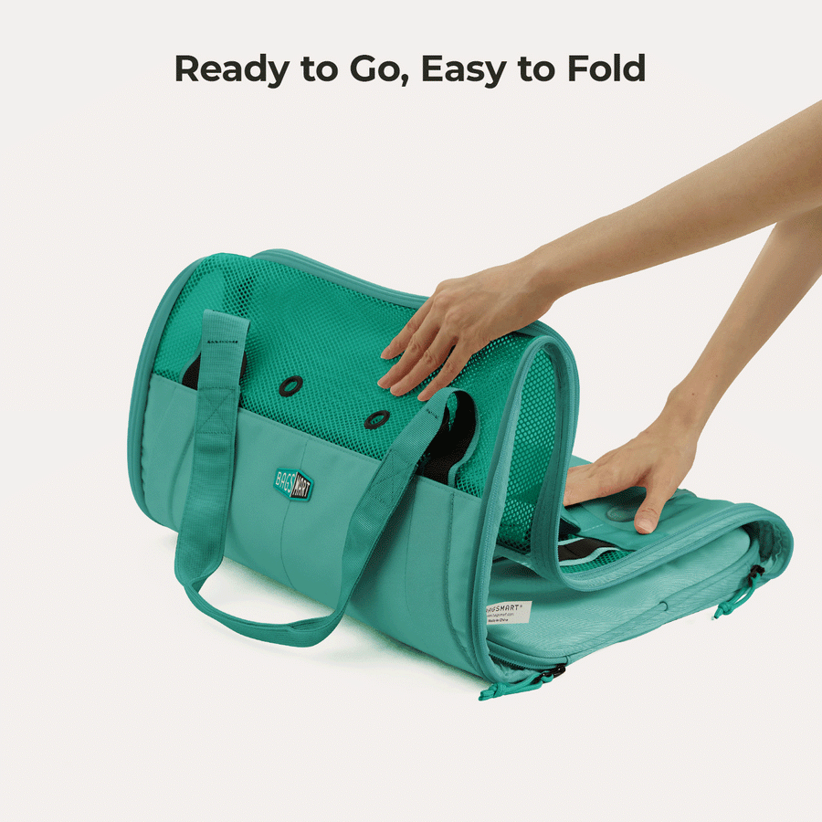 Pet Travel Carrier