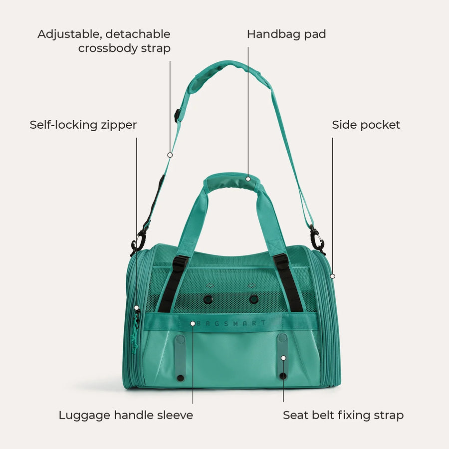 Pet Travel Carrier
