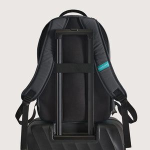 Focus 15.6" Laptop Backpack