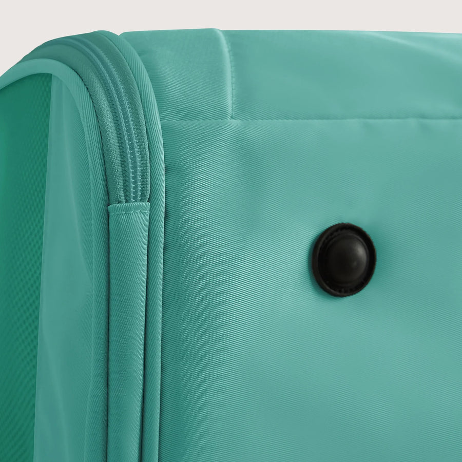 Pet Travel Carrier