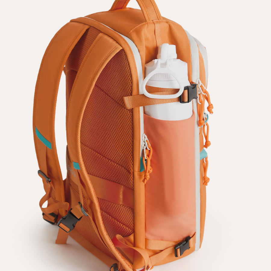 big_backpack_for_travel_rust